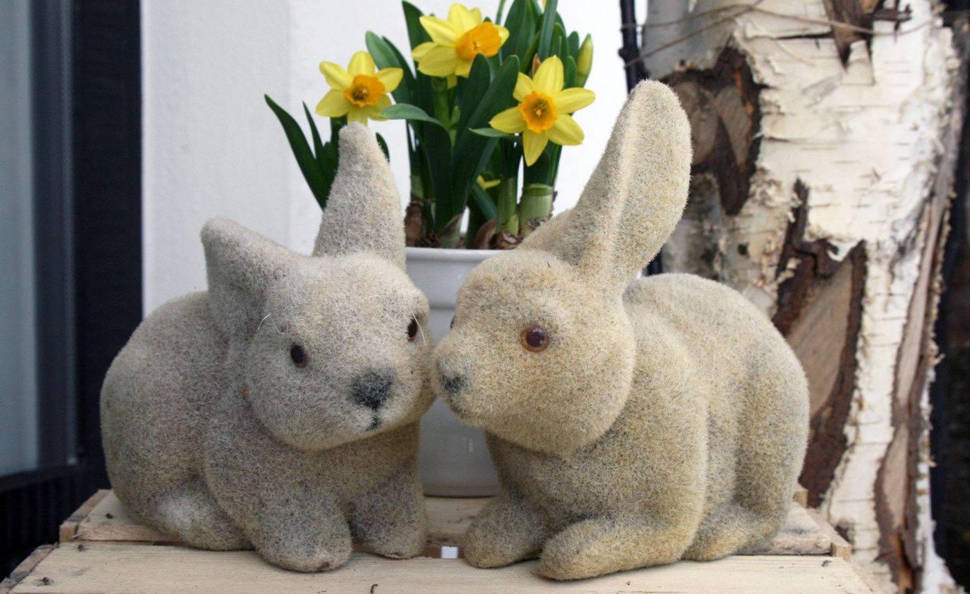 angebot osterspecial