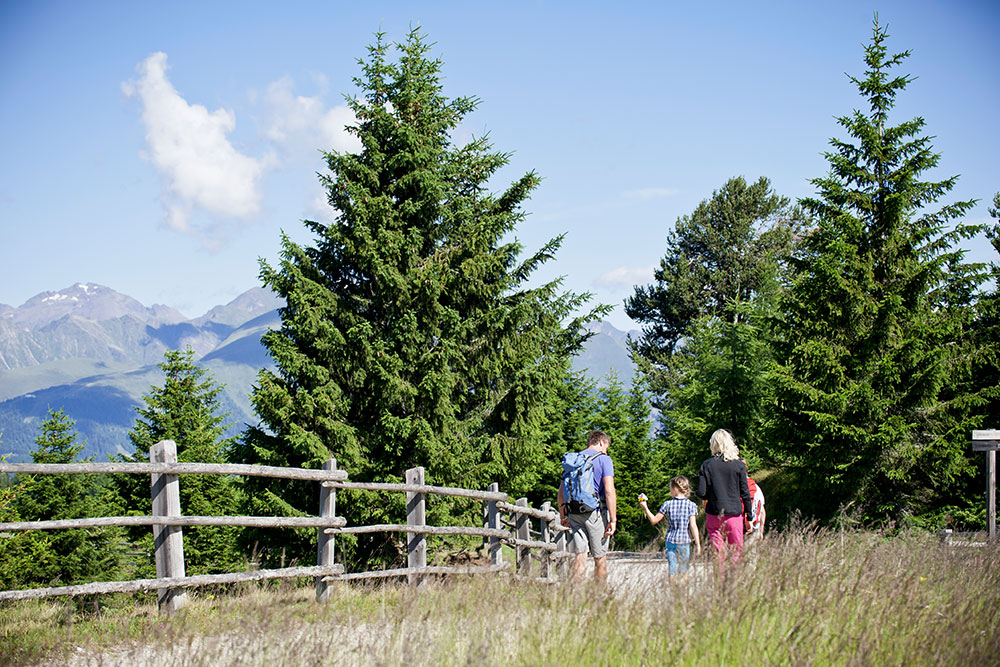 Settimane piene di avventure in montagna